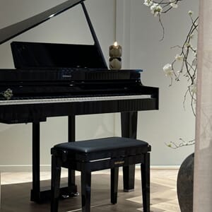 Roland GP-6 Flygel i sort  mellemstørrelse