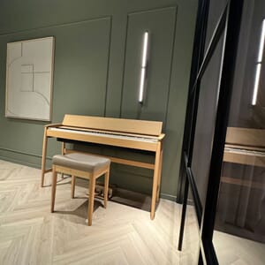 Roland Kiyola  i Eg med Klaverbænk