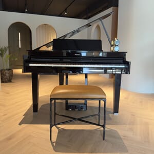 Roland GP 6- Black Caramel