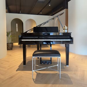 Roland GP 6- Silver Ebony