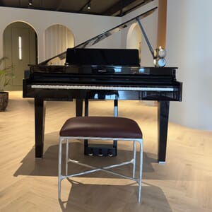 Roland GP 6- Silver Cranberry