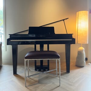 Roland GP3-PE Silver Cranberry