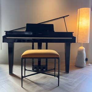 Roland GP3-PE Black Honey Plush