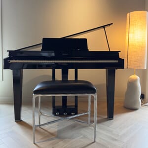 Roland GP3-PE Silver Ebony