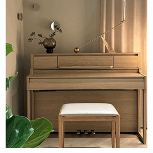 Roland LX5 Eg - Interiørpakke